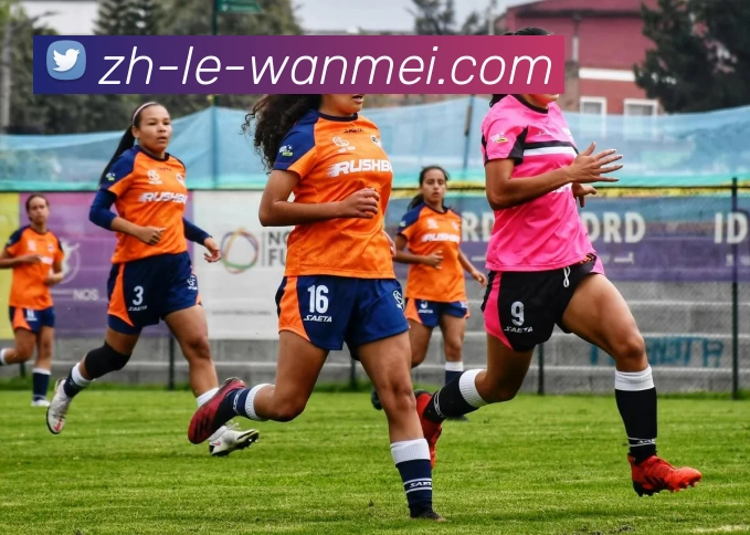 完美体育投注平台APP 封面图